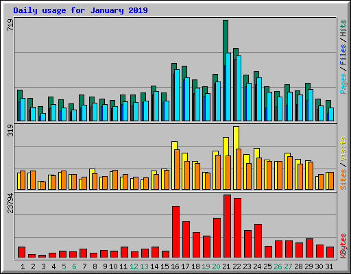 Daily usage for January 2019
