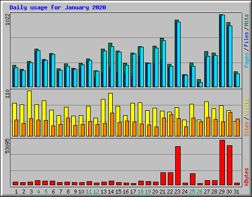Daily usage for January 2020