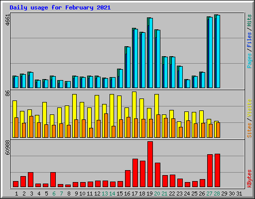 Daily usage for February 2021