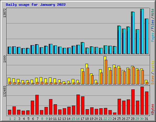 Daily usage for January 2022