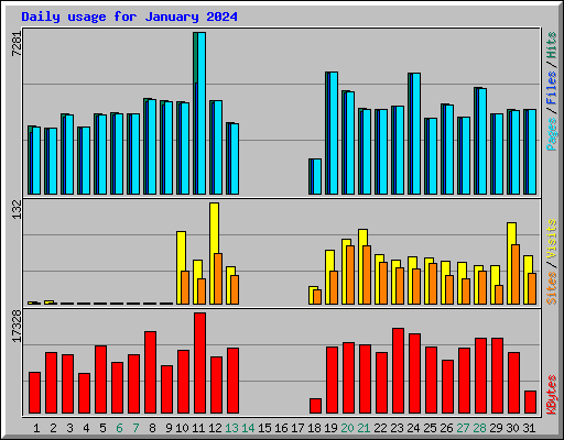 Daily usage for January 2024