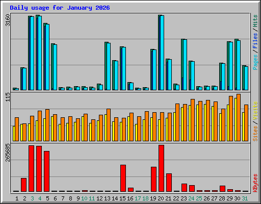 Daily usage for January 2026