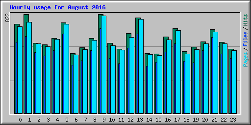 Hourly usage for August 2016