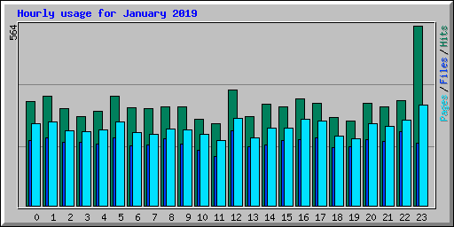 Hourly usage for January 2019