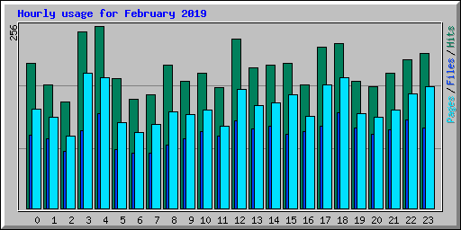 Hourly usage for February 2019
