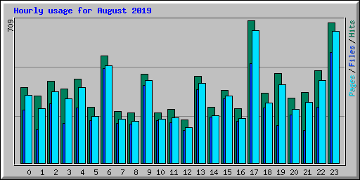Hourly usage for August 2019