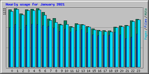 Hourly usage for January 2021