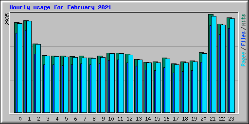 Hourly usage for February 2021