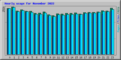 Hourly usage for November 2022