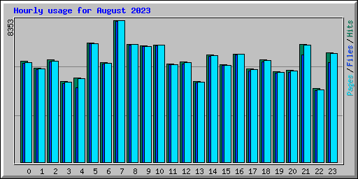 Hourly usage for August 2023