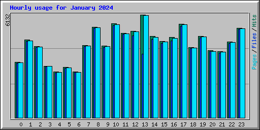Hourly usage for January 2024