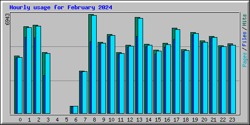 Hourly usage for February 2024