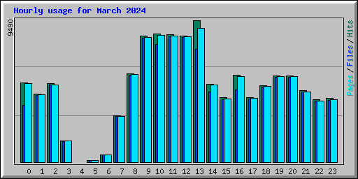Hourly usage for March 2024