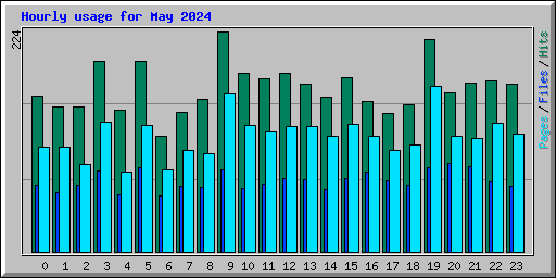 Hourly usage for May 2024