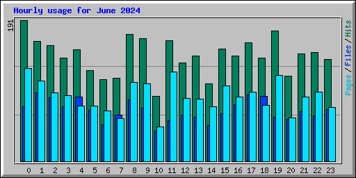 Hourly usage for June 2024