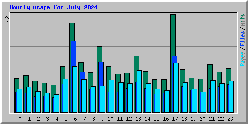 Hourly usage for July 2024