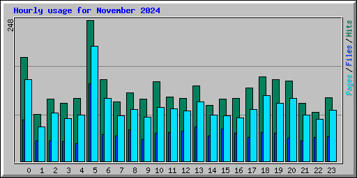 Hourly usage for November 2024