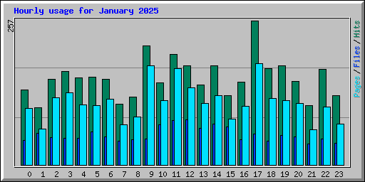 Hourly usage for January 2025