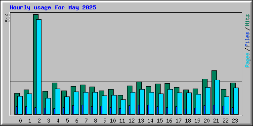 Hourly usage for May 2025