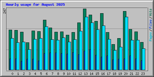 Hourly usage for August 2025