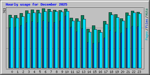 Hourly usage for December 2025