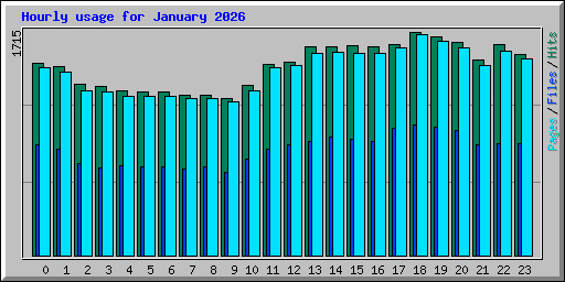 Hourly usage for January 2026