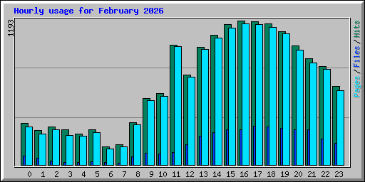 Hourly usage for February 2026