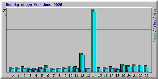Hourly usage for June 2026