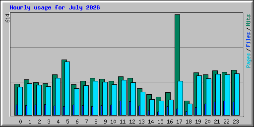 Hourly usage for July 2026