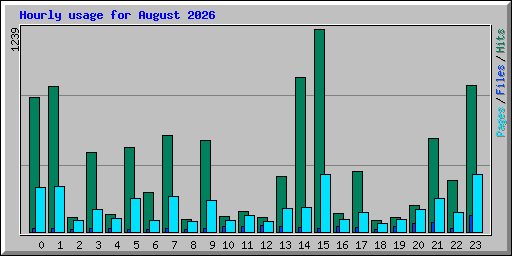 Hourly usage for August 2026